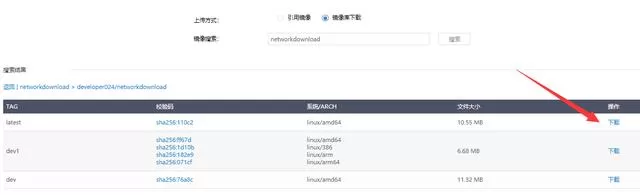利用爱快软路由的DOCKER功能:轻松刷下行流量的步骤与技巧(图5) 利用爱快软路由的DOCKER功能:轻松刷下行流量的步骤与技巧(pic5)