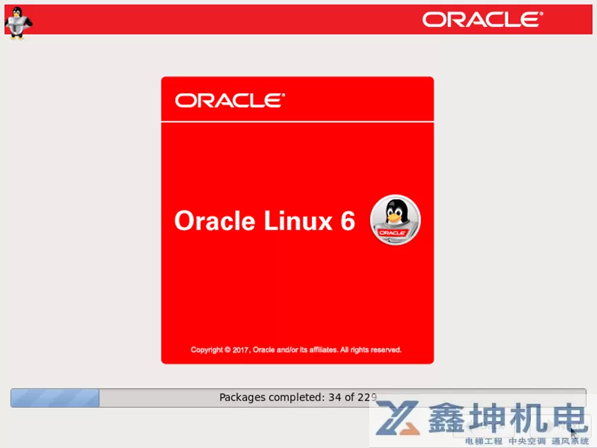 Oracle Linux 6.10操作系统安装(pic31)