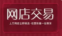 经营一家网店的全面指南(pic1)