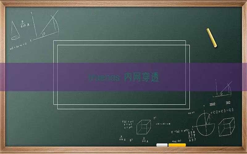 truenas 内网穿透(pic1)