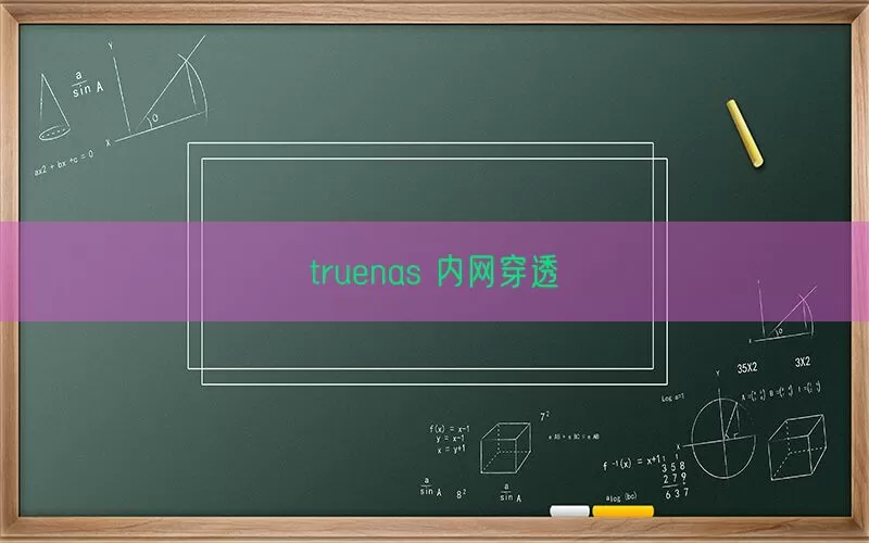 truenas 内网穿透