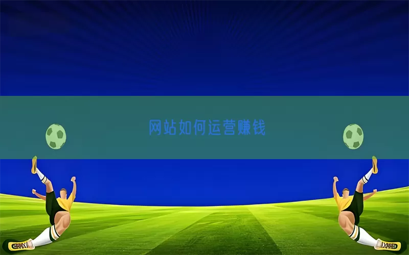 网站如何运营赚钱