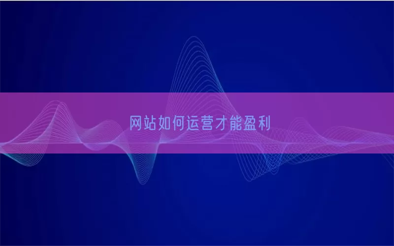 网站如何运营才能盈利