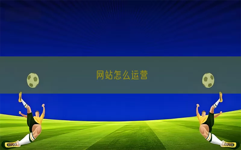 网站怎么运营(pic1)