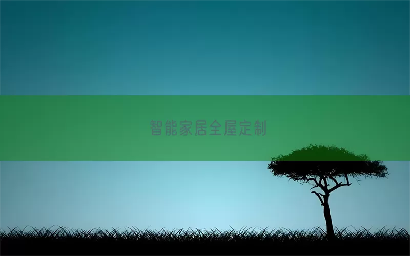 智能家居全屋定制(pic1)