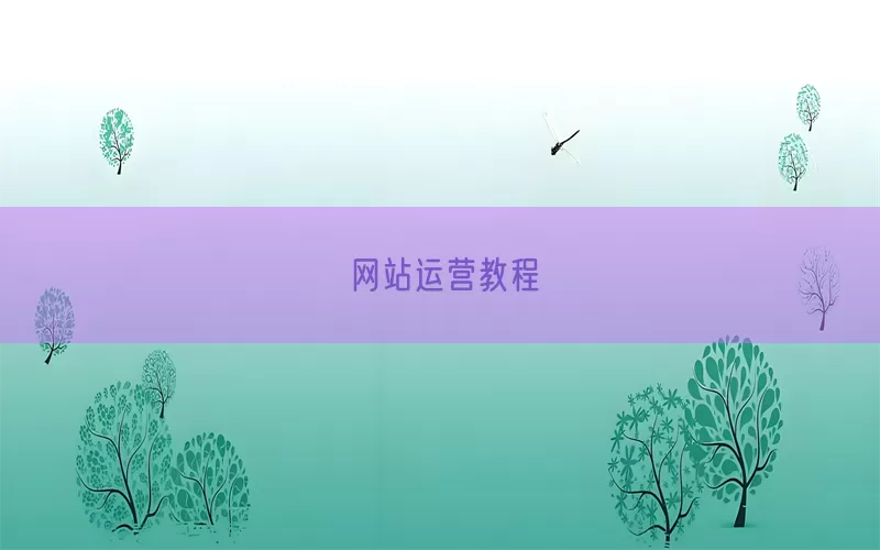 网站运营教程(pic1)