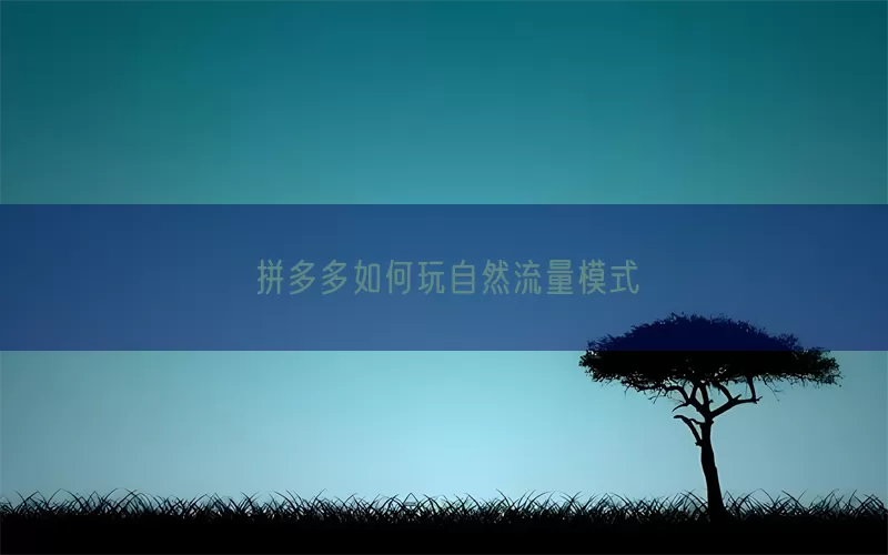 拼多多如何玩自然流量模式(pic1)