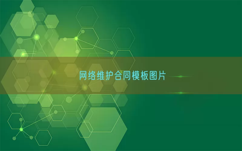 网络维护合同模板图片(pic1)