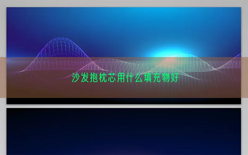 沙发抱枕芯用什么填充物好