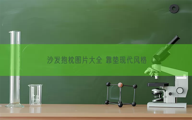 沙发抱枕图片大全 靠垫现代风格(pic1)