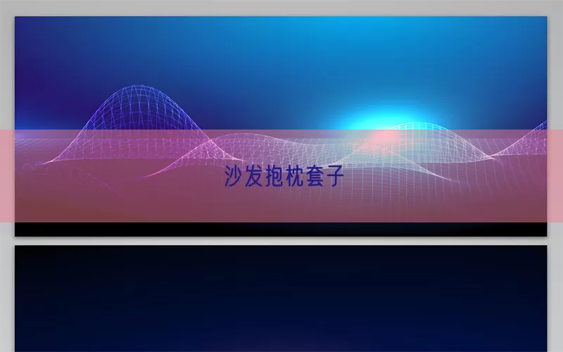 沙发抱枕套子(pic1)