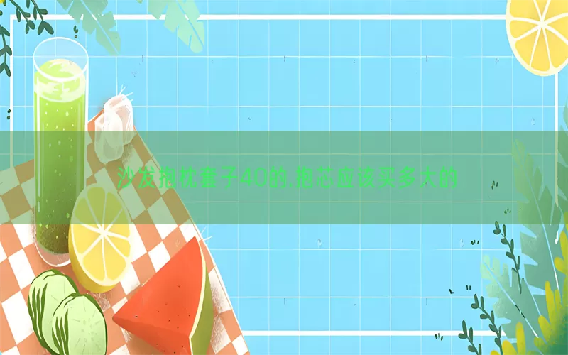 沙发抱枕套子40的,抱芯应该买多大的(pic1)