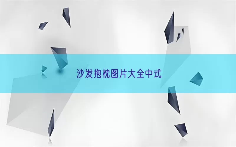 沙发抱枕图片大全中式(pic1)