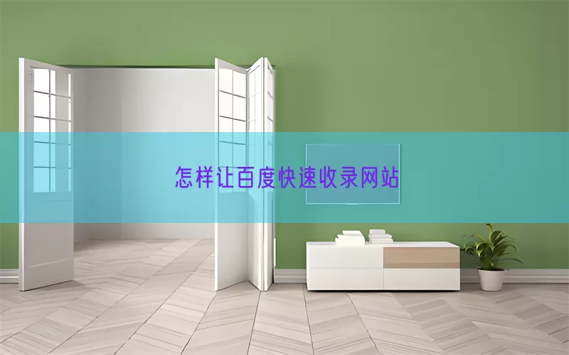 怎样让百度快速收录网站(pic1)