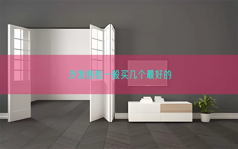 沙发抱枕一般买几个最好的(pic1)
