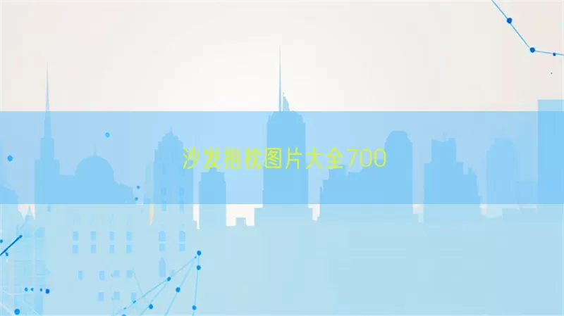 沙发抱枕图片大全700(pic1)