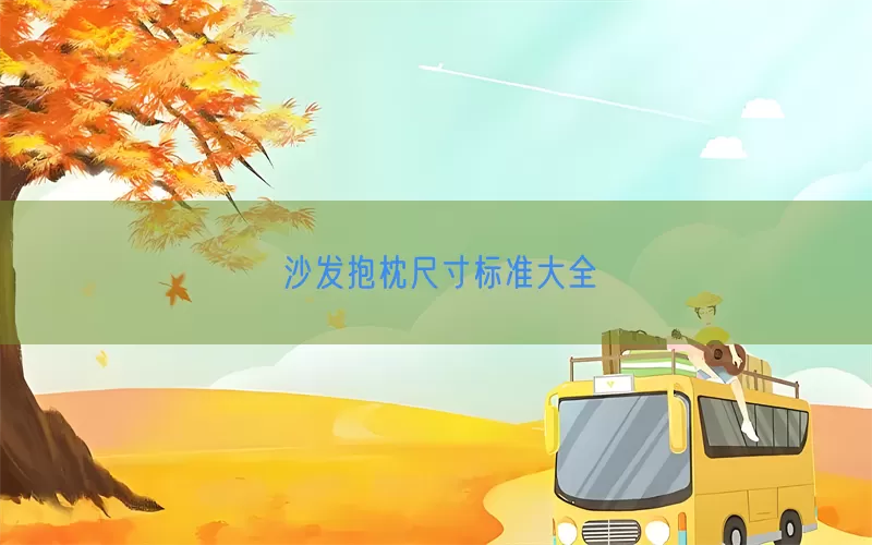 沙发抱枕尺寸标准大全(pic1)