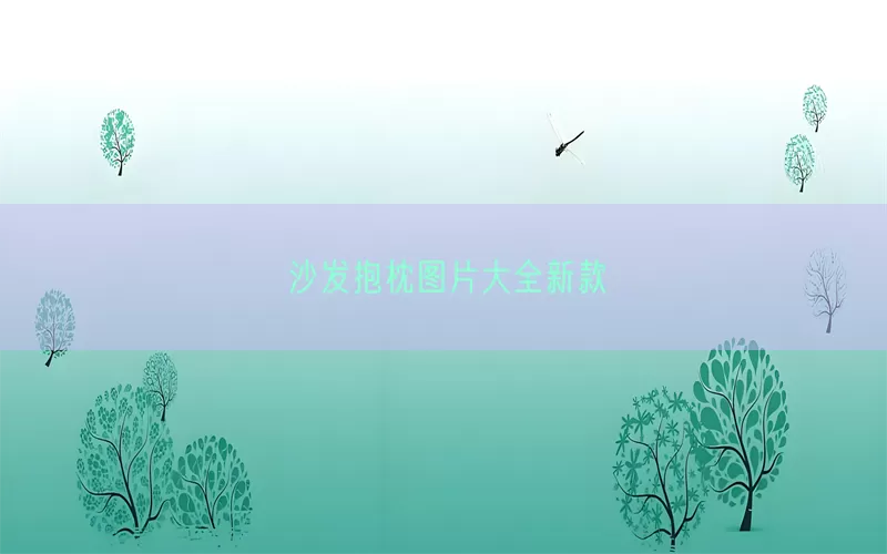 沙发抱枕图片大全新款(pic1)
