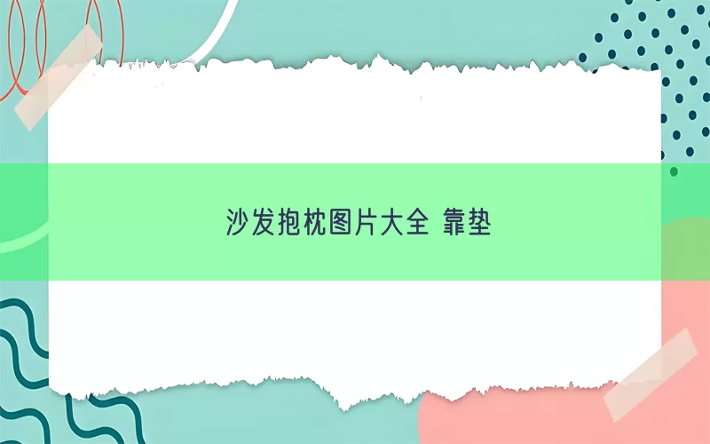 沙发抱枕图片大全 靠垫(pic1)