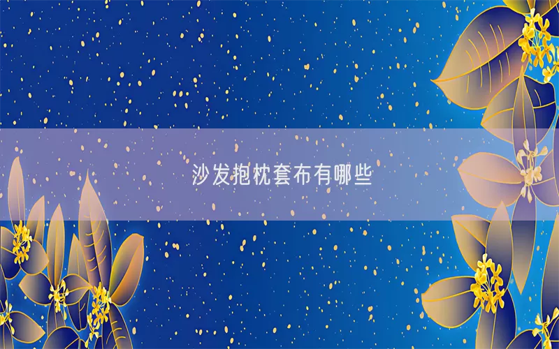 沙发抱枕套布有哪些(pic1)
