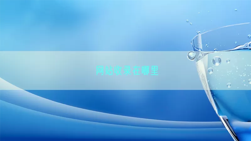 网站收录在哪里(pic1)