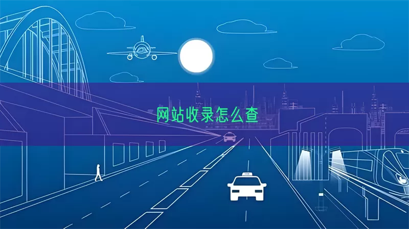 网站收录怎么查(pic1)