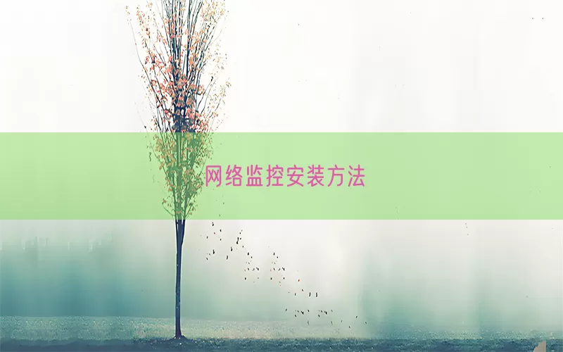 网络监控安装方法(pic1)