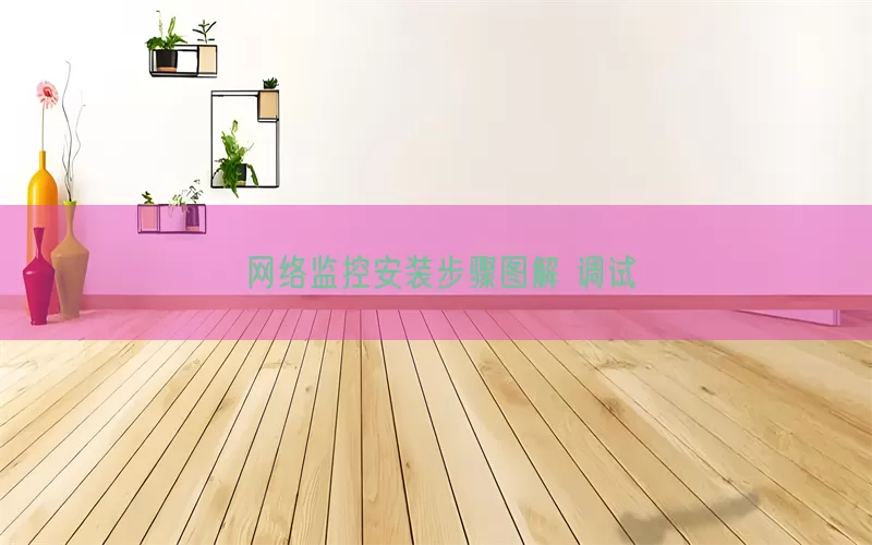 网络监控安装步骤图解 调试(pic1)
