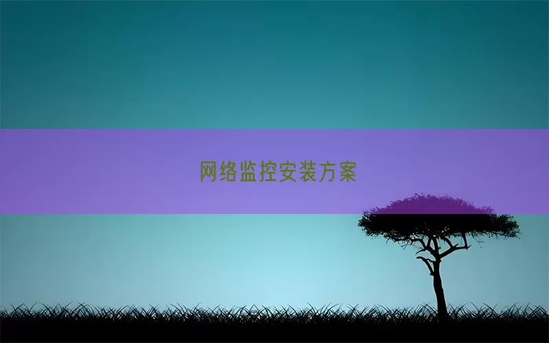 网络监控安装方案(pic1)
