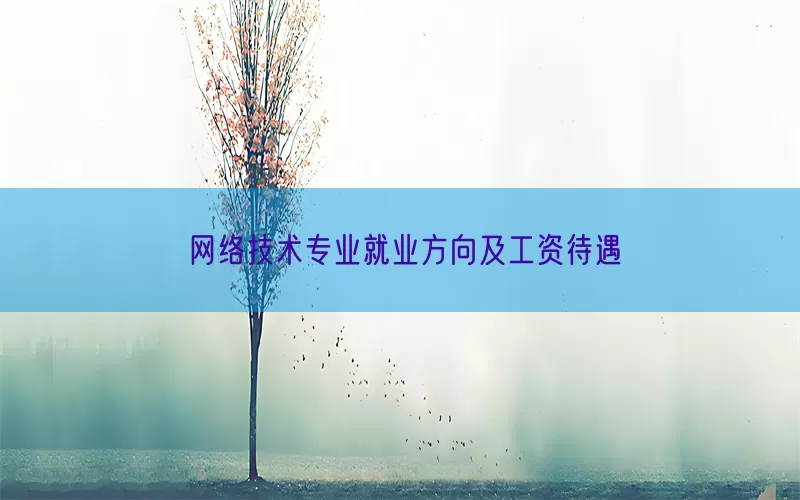 网络技术专业就业方向及工资待遇(pic1)