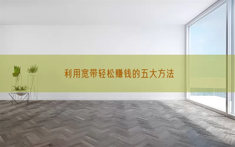 利用宽带轻松赚钱的五大方法