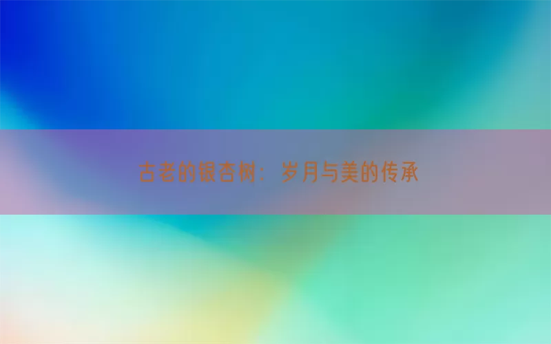 古老的银杏树：岁月与美的传承