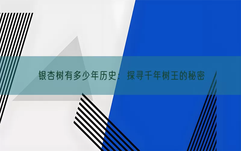 银杏树有多少年历史：探寻千年树王的秘密
