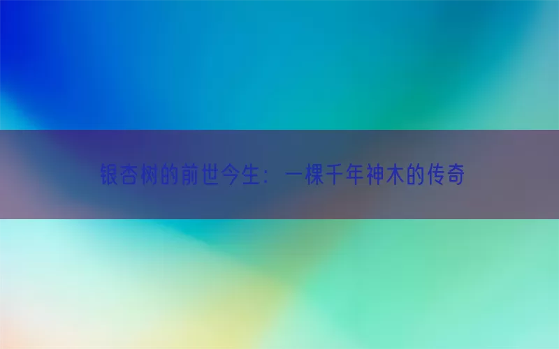 银杏树的前世今生：一棵千年神木的传奇