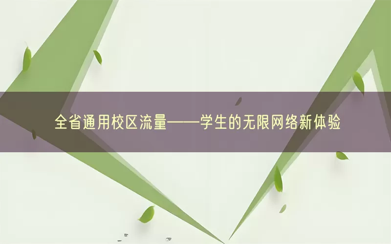 全省通用校区流量——学生的无限网络新体验(pic1)