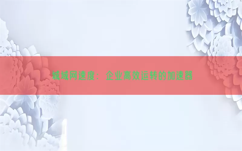 城域网速度：企业高效运转的加速器