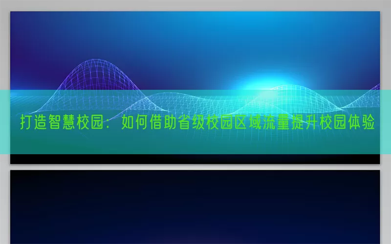 打造智慧校园：如何借助省级校园区域流量提升校园体验