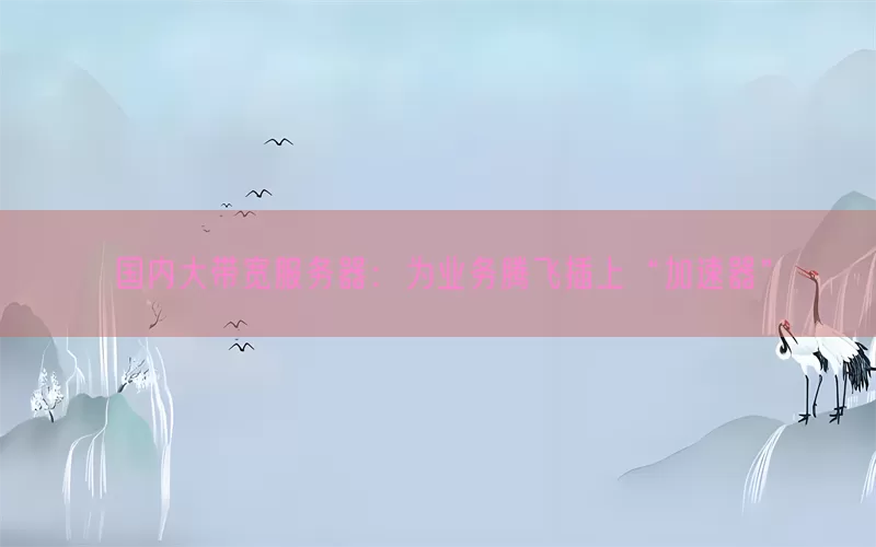 国内大带宽服务器：为业务腾飞插上“加速器”(pic1)