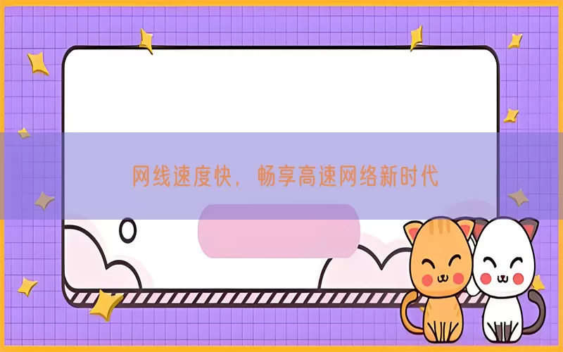 网线速度快，畅享高速网络新时代
