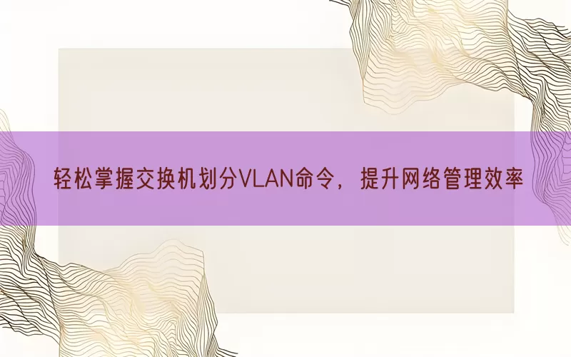 轻松掌握交换机划分VLAN命令，提升网络管理效率(pic1)