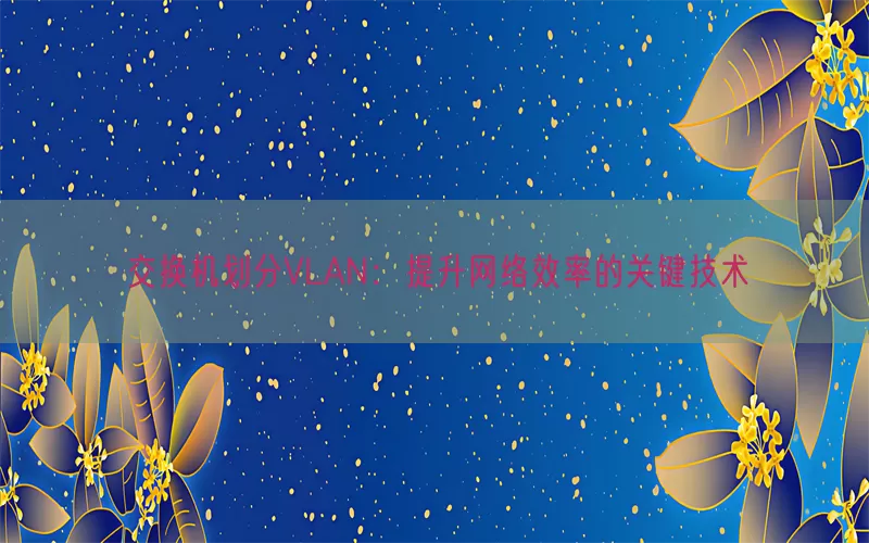 交换机划分VLAN：提升网络效率的关键技术(pic1)