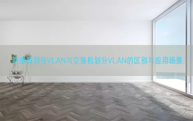 路由器划分VLAN与交换机划分VLAN的区别与应用场景(pic1)