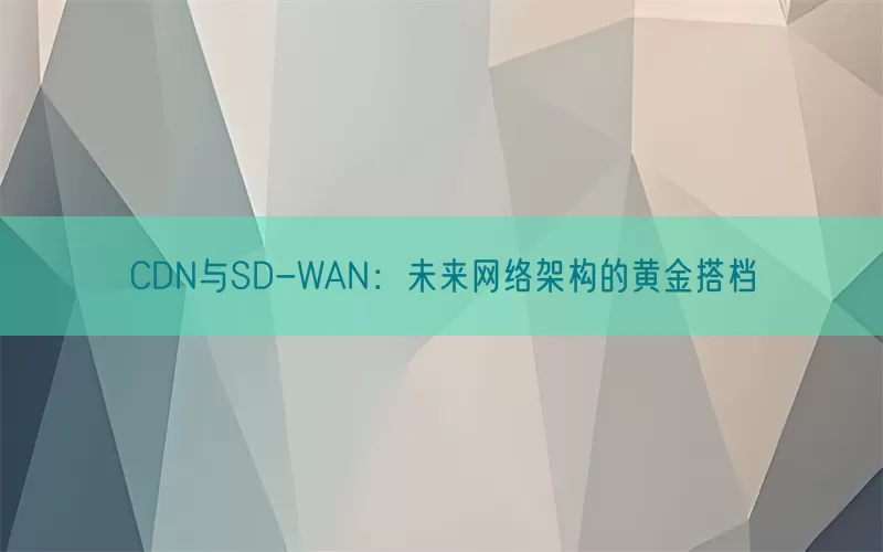 CDN与SD-WAN：未来网络架构的黄金搭档