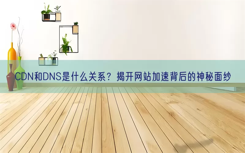 CDN和DNS是什么关系？揭开网站加速背后的神秘面纱
