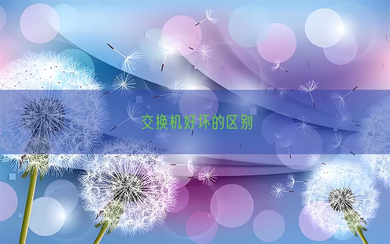 交换机好坏的区别(pic1)
