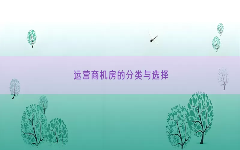 运营商机房的分类与选择(pic1)