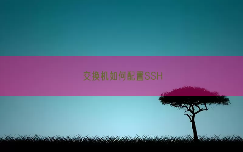 交换机如何配置SSH(pic1)