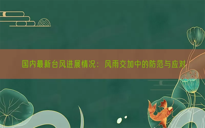国内最新台风进展情况：风雨交加中的防范与应对