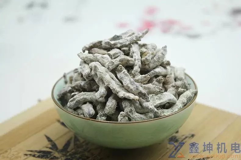 几近失传的传奇“十三方”