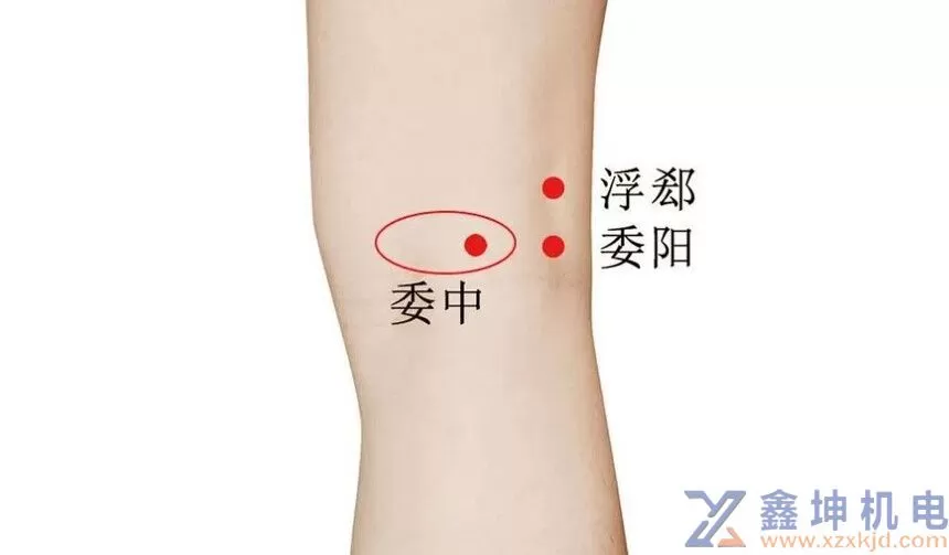 10个按摩手法，缓解身体小疼痛(pic4)